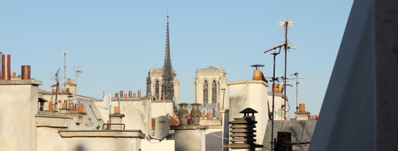 Terrace view at our apartment in the Ile Saint-Louis rooftops, Paris